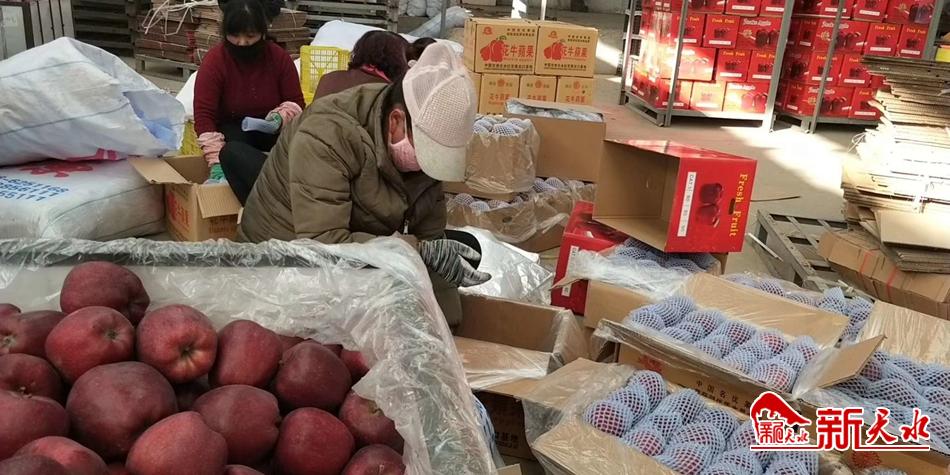 天水“花牛”最近有點(diǎn)“?！?>
        </a><em>天水“花牛”最近有點(diǎn)“?！?/em></li>
    <li><a  target=