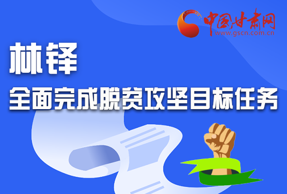 圖解|林鐸：堅決如期全面完成脫貧攻堅目標(biāo)任務(wù)