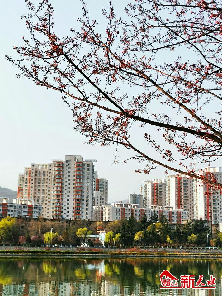 春天，古城天水的十個美麗瞬間