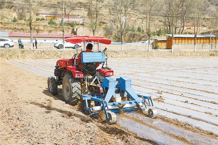 慶陽華池縣：緊抓產業(yè)發(fā)展 鞏固脫貧成效