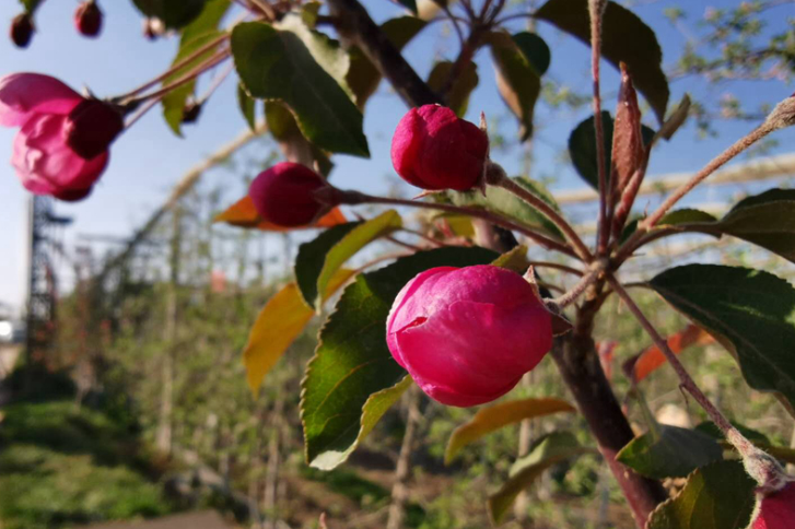 【堅(jiān)持兩手抓 奪取雙勝利】解難紓困 共克時艱——甘肅省多措并舉支持中小企業(yè)復(fù)工復(fù)產(chǎn)
