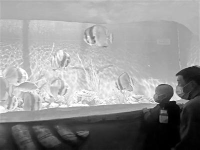 蘭州極地海洋世界開(kāi)館（圖）