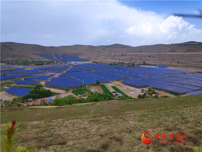 【甘肅省決戰(zhàn)決勝脫貧攻堅(jiān)】定西通渭：“紫荊花開”光明來 光伏扶貧動力足