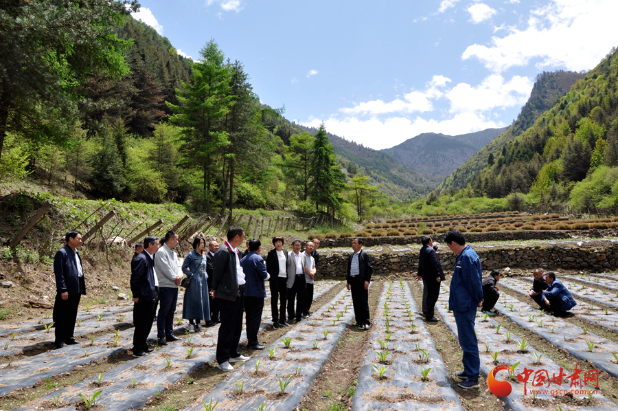 白龍江博峪河保護局開展產(chǎn)業(yè)發(fā)展、義務(wù)勞動成果現(xiàn)場觀摩交流活動