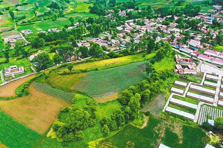 【溫暖的回響 滄桑巨變 飲水思源】這條路，通往幸福