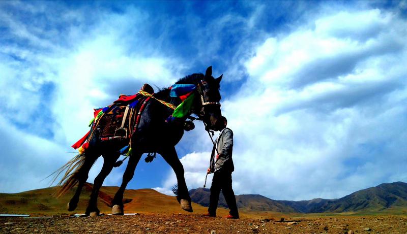 好消息！天祝被命名為“中國(guó)高原走馬之鄉(xiāng)”