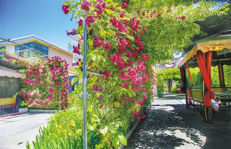 走進(jìn)折橋?yàn)晨础昂又菝朗车谝淮濉钡那笆澜裆?>
        </a><em>走進(jìn)折橋?yàn)晨础昂又菝朗车谝淮濉钡那笆澜裆?/em></li>
    <li><a  target=