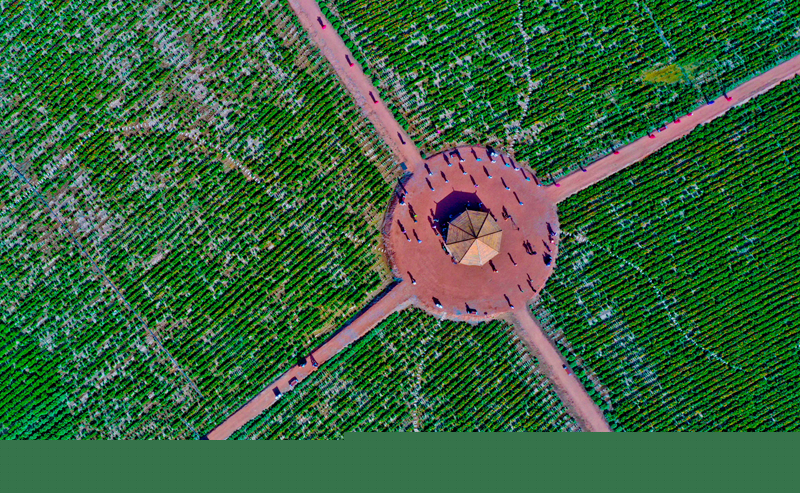 【飛閱甘肅】張掖：裸露土地披“綠衣”百姓休閑好去處