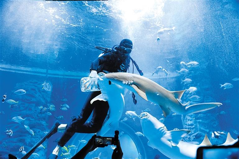 蘭州海洋公園 金昌火星1號(hào)基地 這個(gè)暑假我們“上天入?！?>
        </a><em>蘭州海洋公園 金昌火星1號(hào)基地 這個(gè)暑假我們“上天入?！?/em></li>
    <li><a  target=