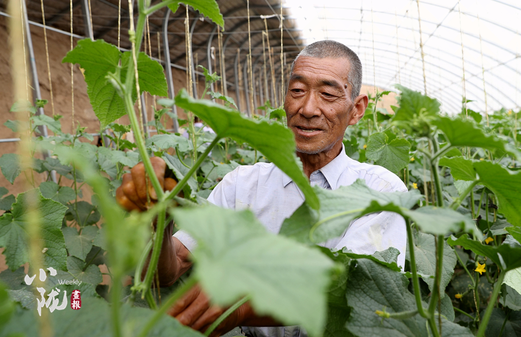 【小隴畫報·100期】筑夢黃花灘：老照片里映過往 新生活中蘊未來