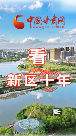 圖解|崛起！新區(qū)十年