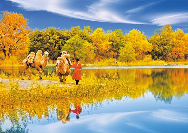 國(guó)慶長(zhǎng)假，去金塔遇見(jiàn)最美胡楊