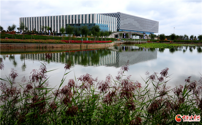 【十年巨變 看新區(qū)成就】生態(tài)環(huán)境保護(hù)工作多點(diǎn)開花