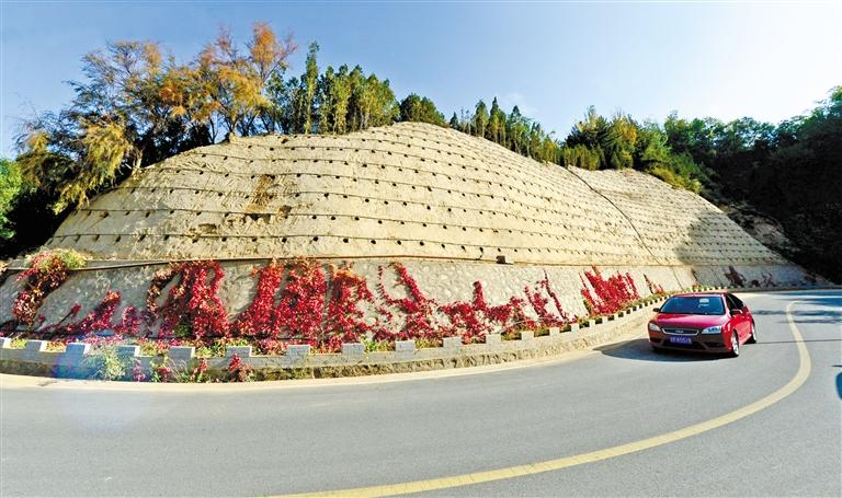 近90度陡坡上種樹！蘭州南北兩山綠化出新招