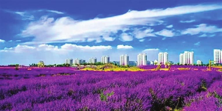 “三連冠”！金昌蟬聯(lián)全國文明城市