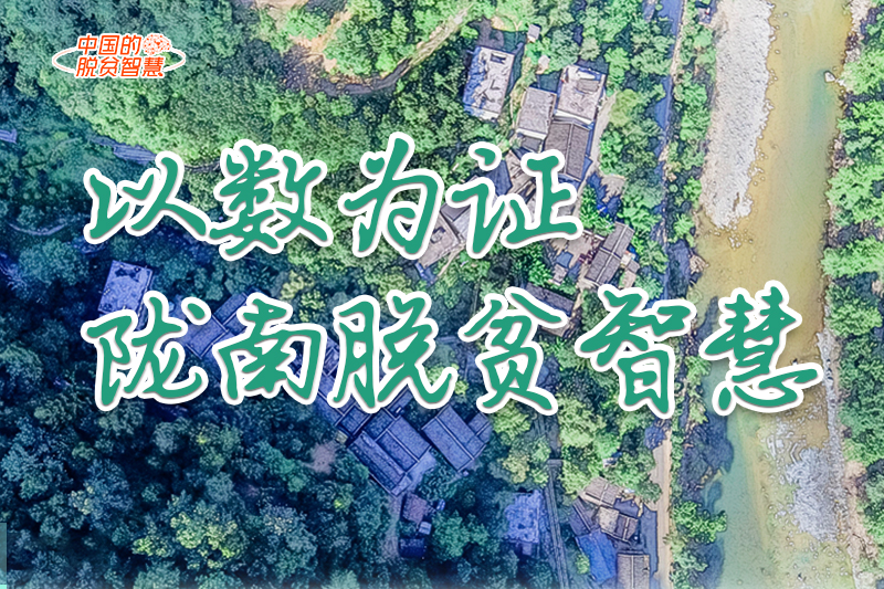 【中國的脫貧智慧】以數(shù)為證！隴南脫貧智慧來了！