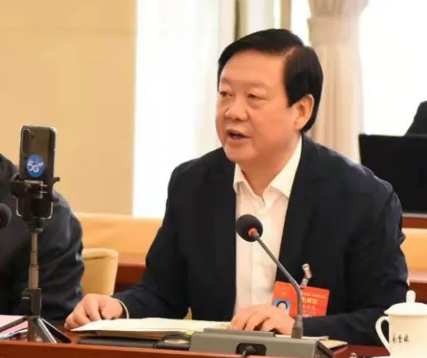 【聚焦2021全國兩會】全國人大代表、市委書記楊維俊接受中國日報記者采訪