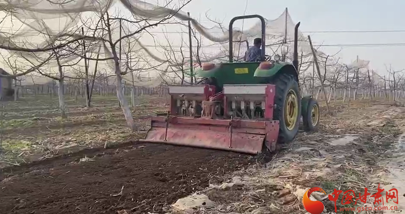 【我的扶貧故事】靈臺朝那鎮(zhèn)：種養(yǎng)產業(yè)讓致富路越走越寬