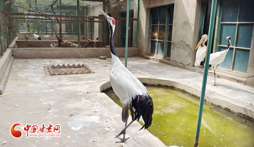 蘭州公安提醒市民：非緊急非必要，不出境