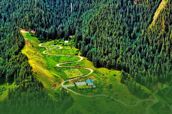 海報(bào)|祁連山保護(hù)區(qū)生態(tài)環(huán)境問題整改全面完成！