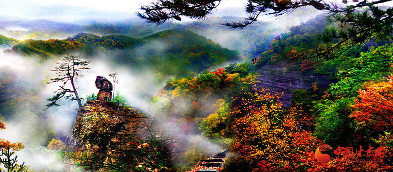 【甘快看】 華亭：碧水藍(lán)天綠中行 生態(tài)美景入畫來(lái)