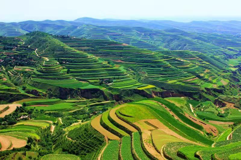 追趕進(jìn)位，跑好脫貧后的“第一棒”——定西市委書記戴超談“后脫貧”時(shí)代定西高質(zhì)量發(fā)展