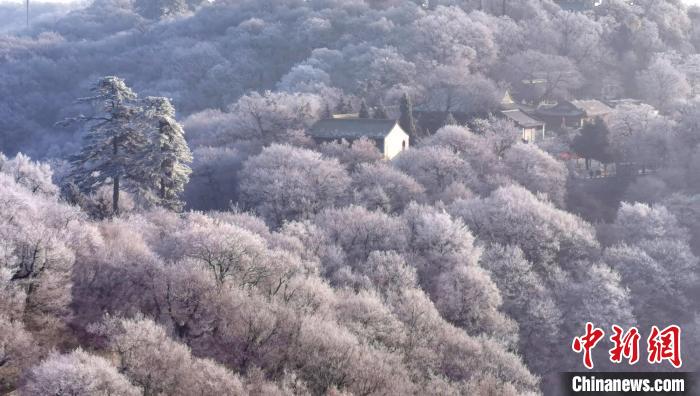 圖為霧凇美景?！⌒煺袢A 攝