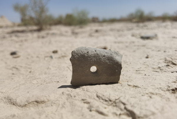 插圖1：河西走廊上遺存的古陶片。攝影：陳曉斌。拍攝日期：2020年6月。
