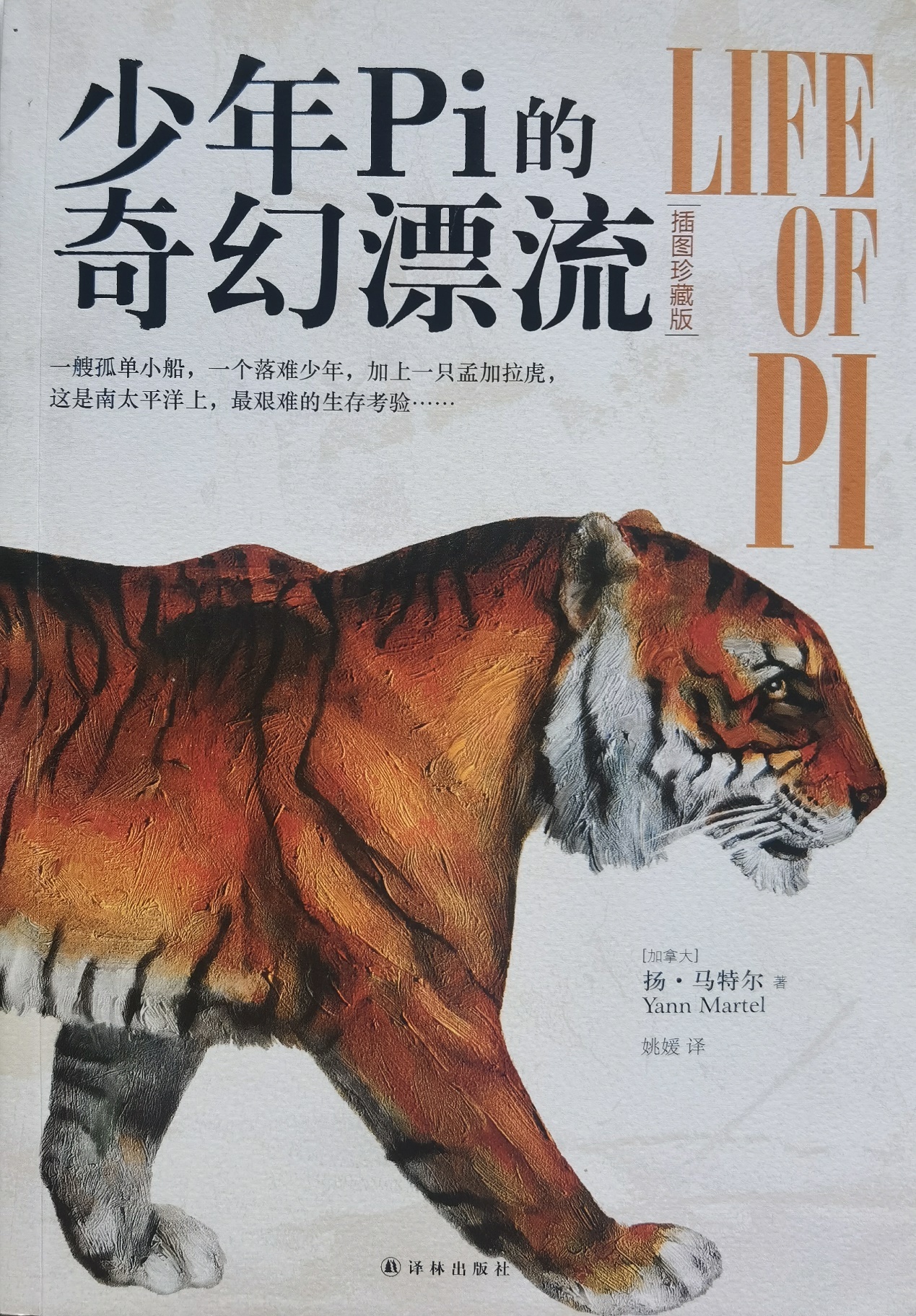 插圖1：揚(yáng)？馬特爾的小說《少年pi的奇幻漂流》封面