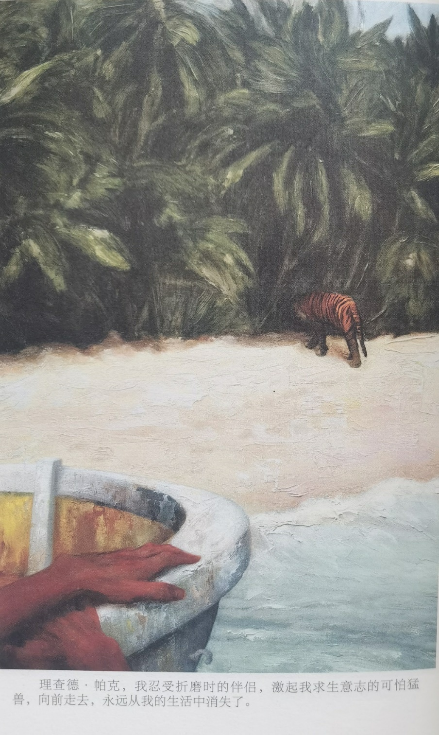 插圖3：揚(yáng)？馬特爾的小說《少年pi的奇幻漂流》插圖