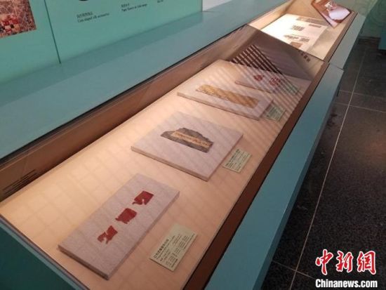 圖為展覽現(xiàn)場?！《鼗脱芯吭汗﹫D