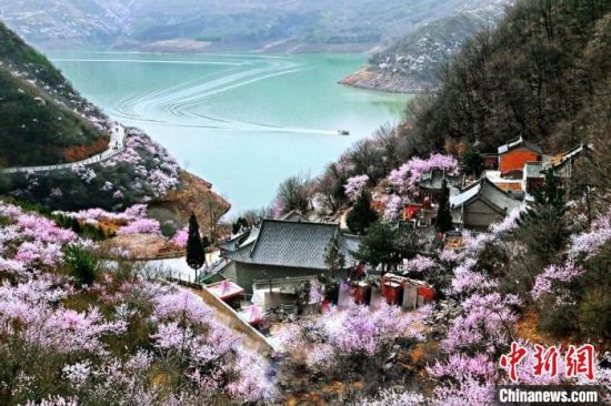 甘肅平?jīng)鍪惺侵袊?guó)優(yōu)秀旅游城市。圖為平?jīng)鲠轻忌较率锾一ㄊ㈤_(kāi)。(資料圖) 平?jīng)鍪形麄鞑抗﹫D