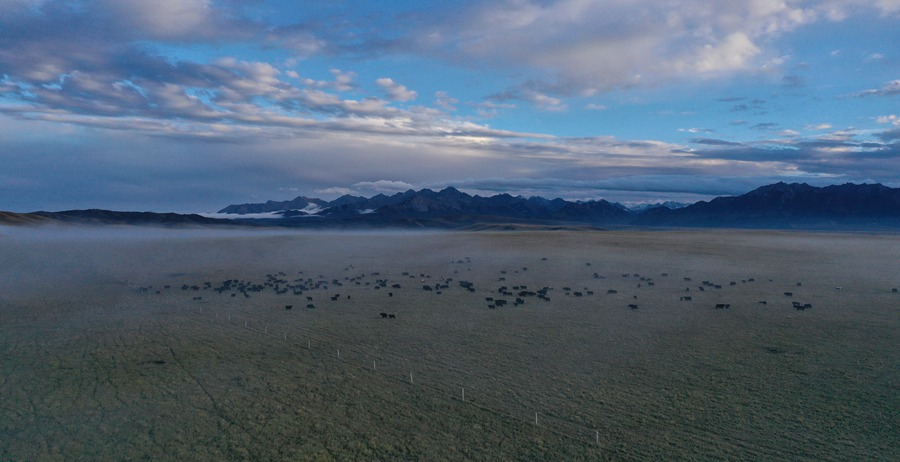 甘肅山丹馬場：峽谷云霧似仙境。 王超攝