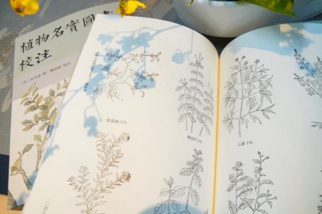 《植物名實(shí)圖考校注》內(nèi)頁。圖片來源：中華書局供圖