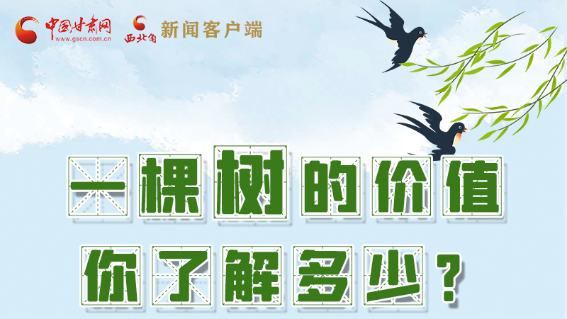 圖解|一棵樹的價(jià)值你了解多少?來(lái)看！