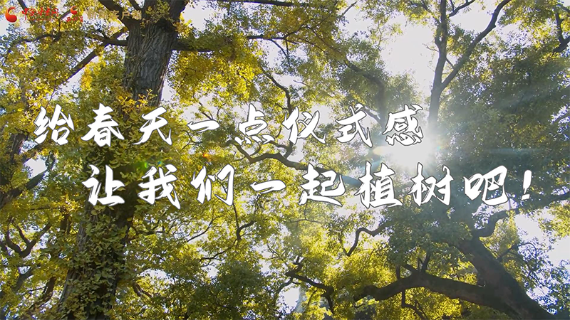 短視頻|給春天一點(diǎn)儀式感，讓我們一起植樹吧！