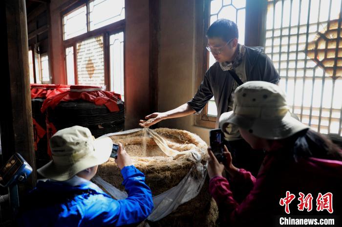 圖為青稞酒文化展示。　薛蒂 攝