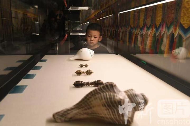圖為展出的“白海螺法器”吸引小觀眾。 中新社記者 戴文昌 攝