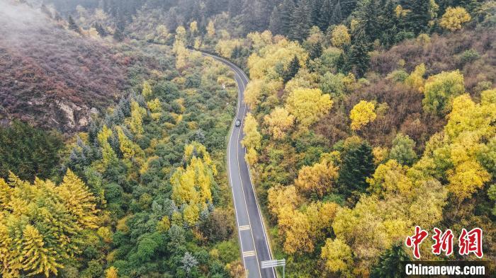 深秋，航拍位于蘭州市榆中縣的興隆山，景色如畫。金峯 攝</p>
<p>