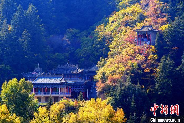 深秋，位于蘭州市榆中縣的興隆山景色如畫。宮衛(wèi)紅 攝