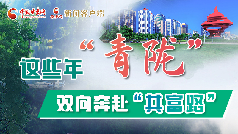 【江河奔流·青隴協(xié)作譜新篇】這些年，“青隴”雙向奔赴“共富路”