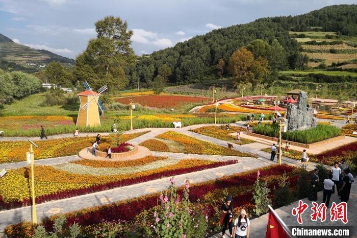圖為航拍甘肅甘南臨潭縣八角鎮(zhèn)，花海吸引游人。(資料圖)高展 攝