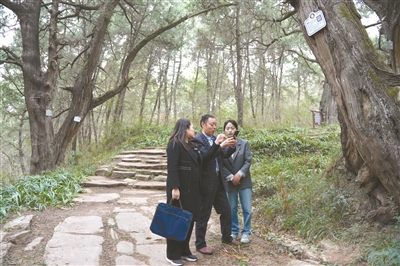 1710721176704278.jpg 2024031806590238615.jpg