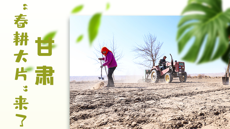 【甘快看】海報|瞧！甘肅“春耕大片”來了