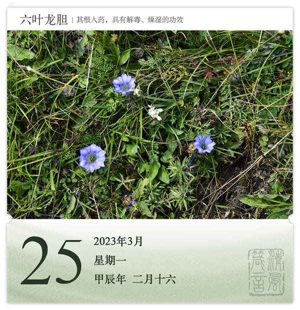 1710386971248748.png 箴歷日歷3-25.png