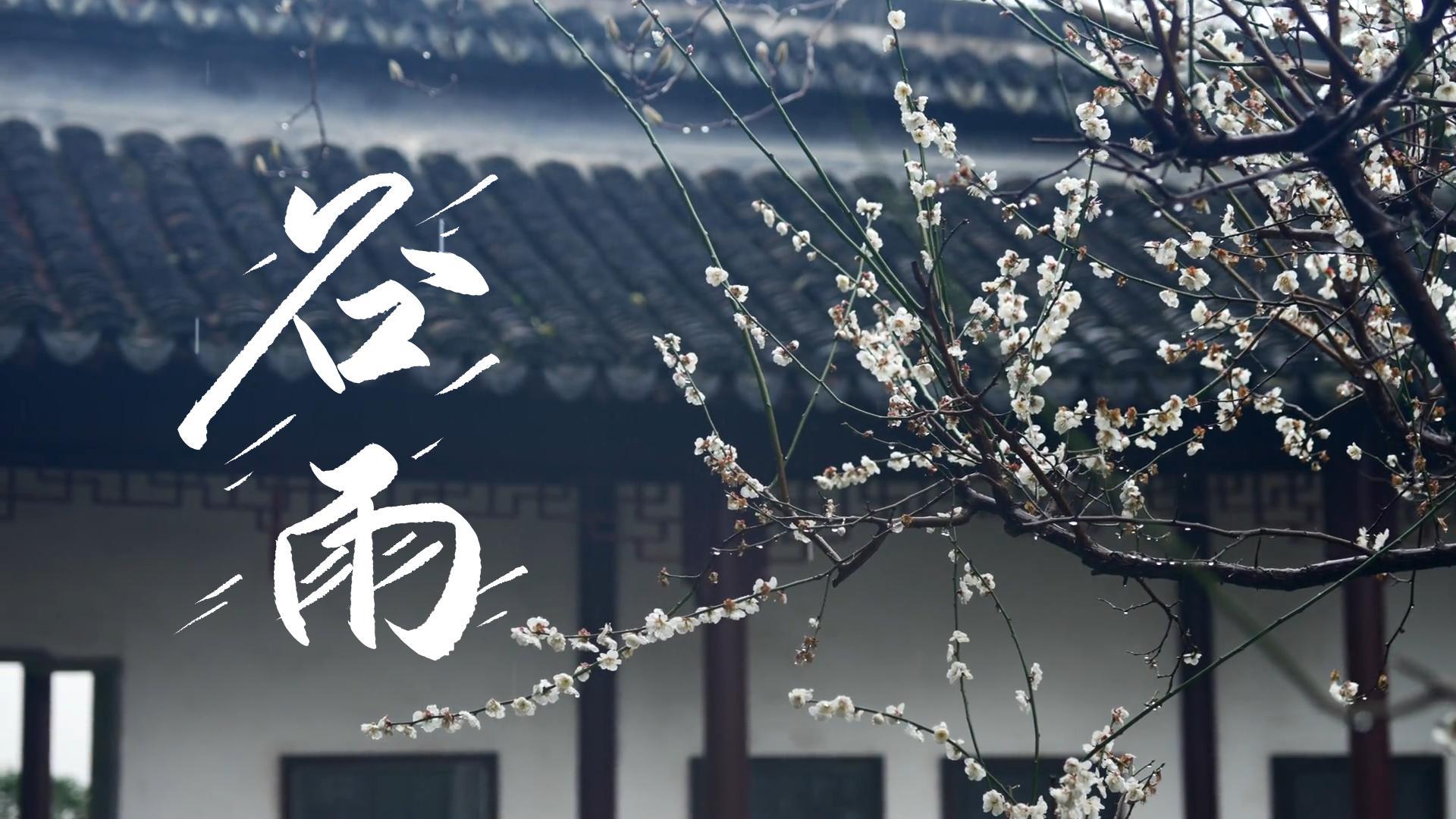 【節(jié)氣里的大美甘肅】谷雨，春天的最后一次回眸