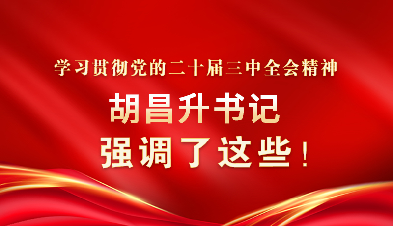 圖解|學習貫徹黨的二十屆三中全會精神 胡昌升書記強調了這些！