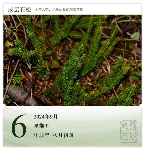 1725528942116281.png 箴歷日歷9-6.png