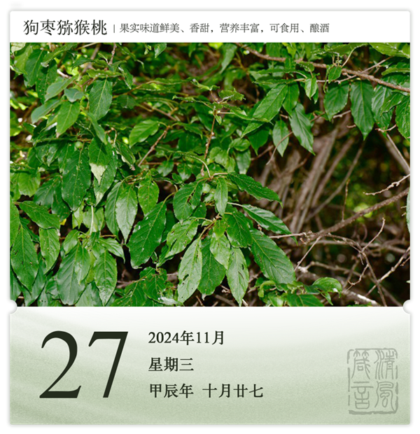 1730190099337648.png 箴歷日歷11-27.png