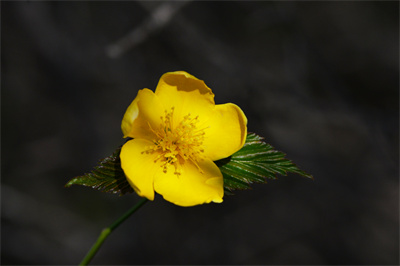 1737511010212699.jpg 7-02.jpg